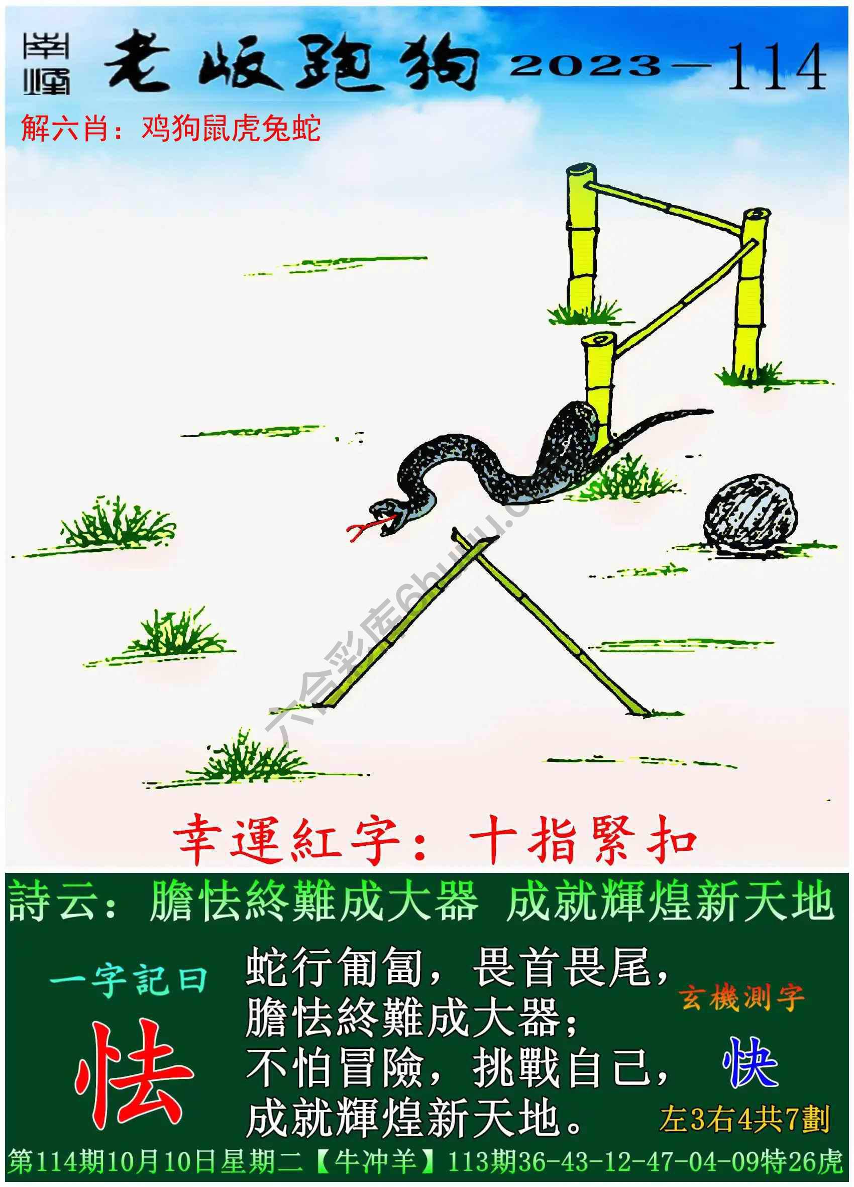 老版跑狗图