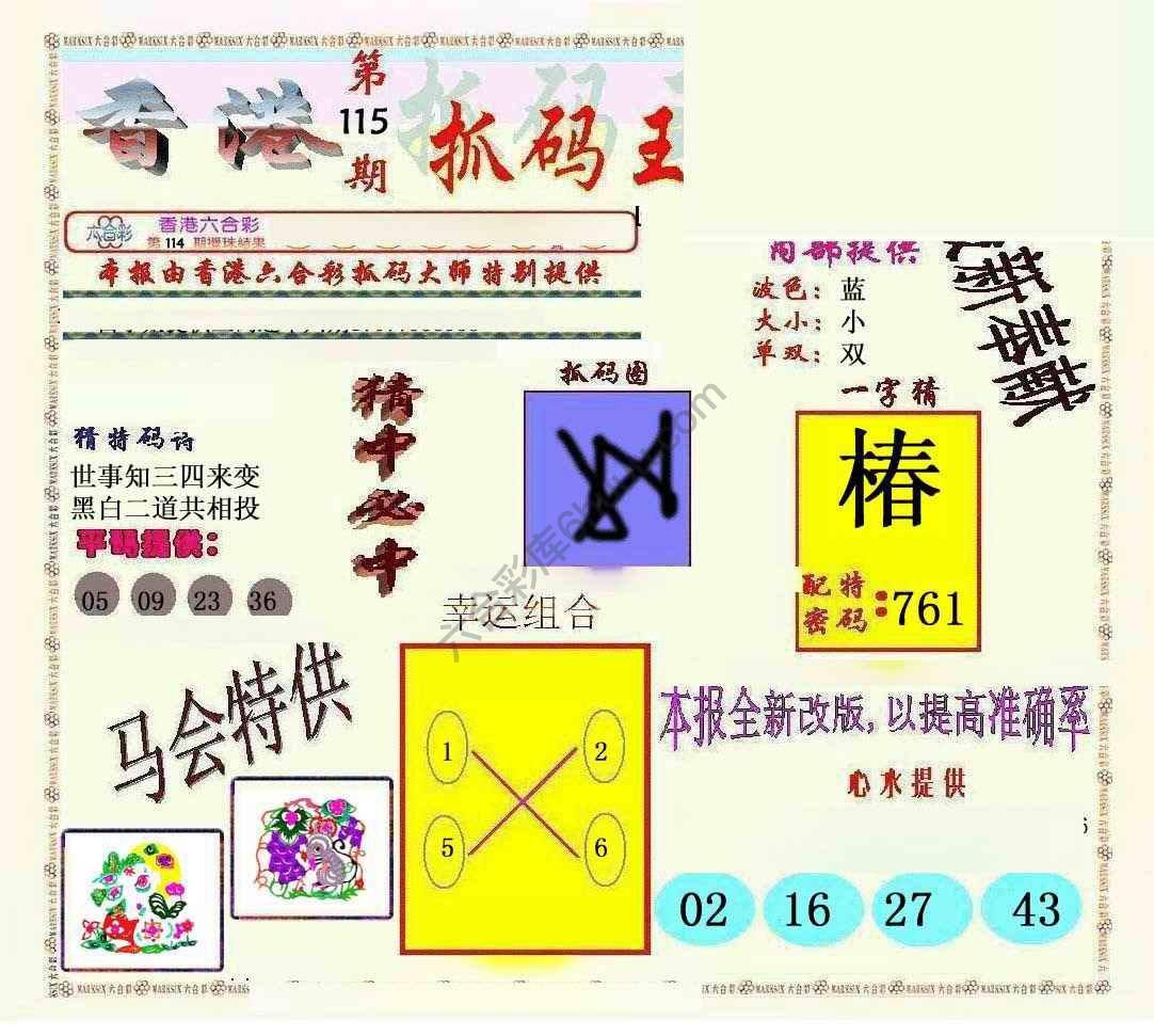新抓码王