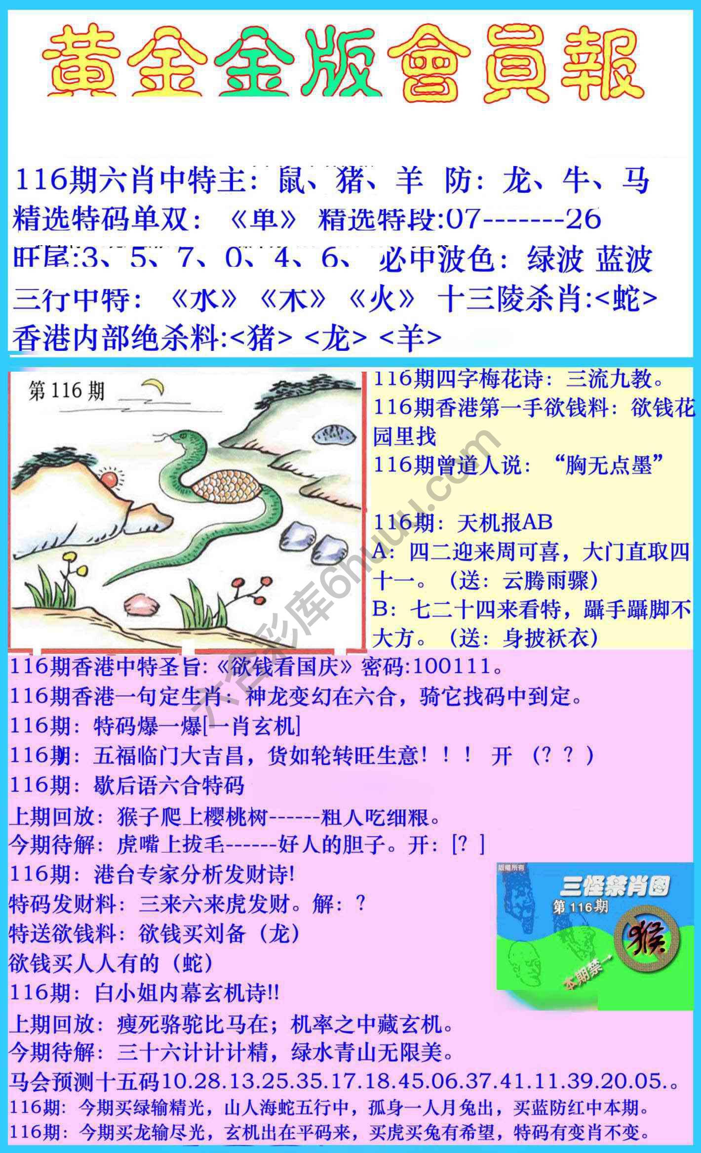 黄金金版会员报