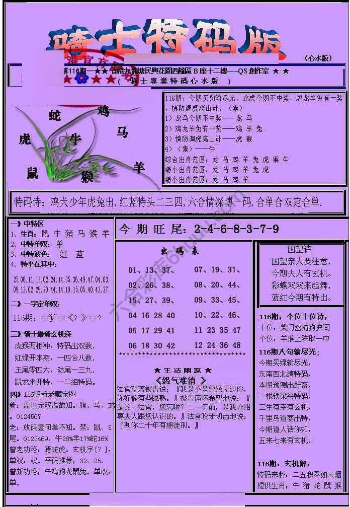另类骑士特码版