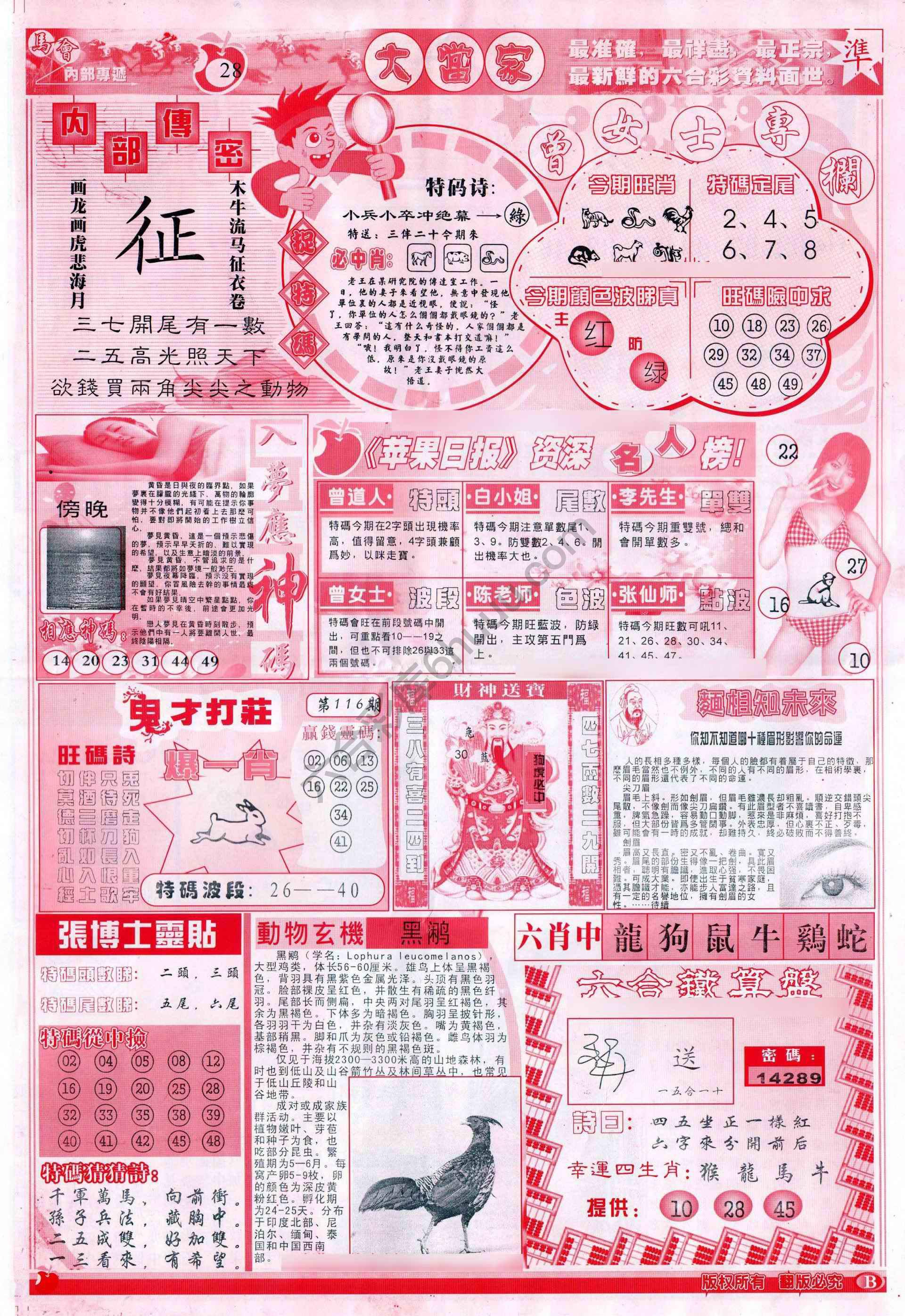 大当家
