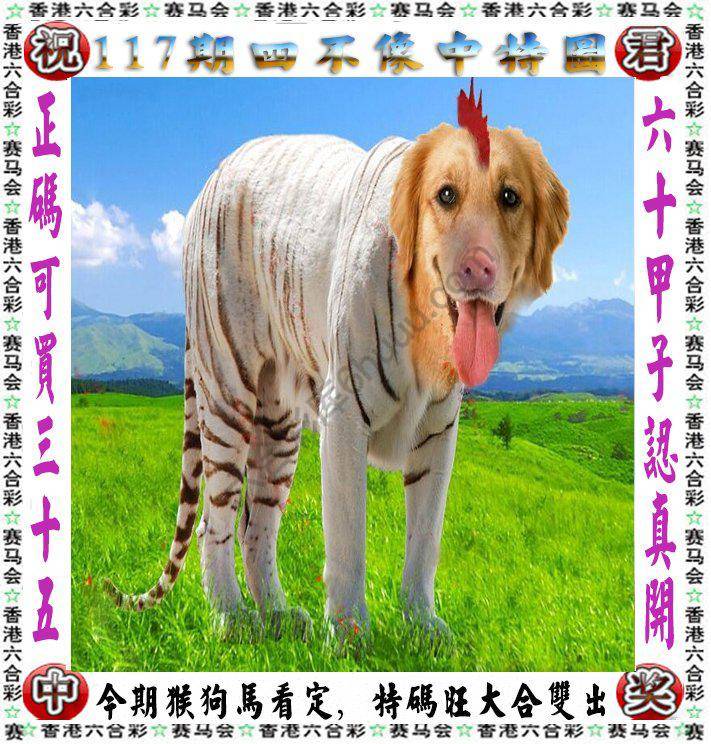 四不像中特图