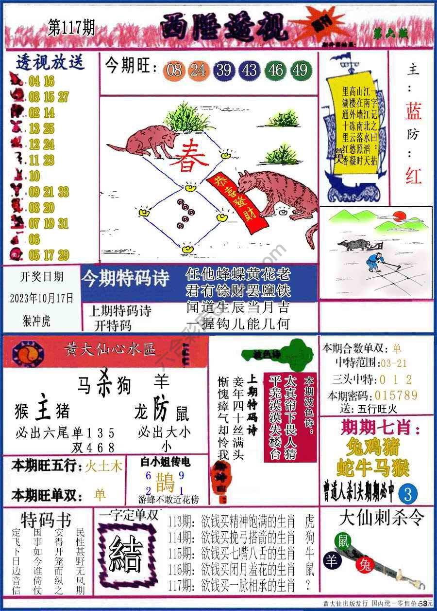西陲透视（正版）