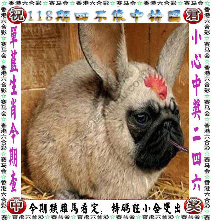 四不像中特图