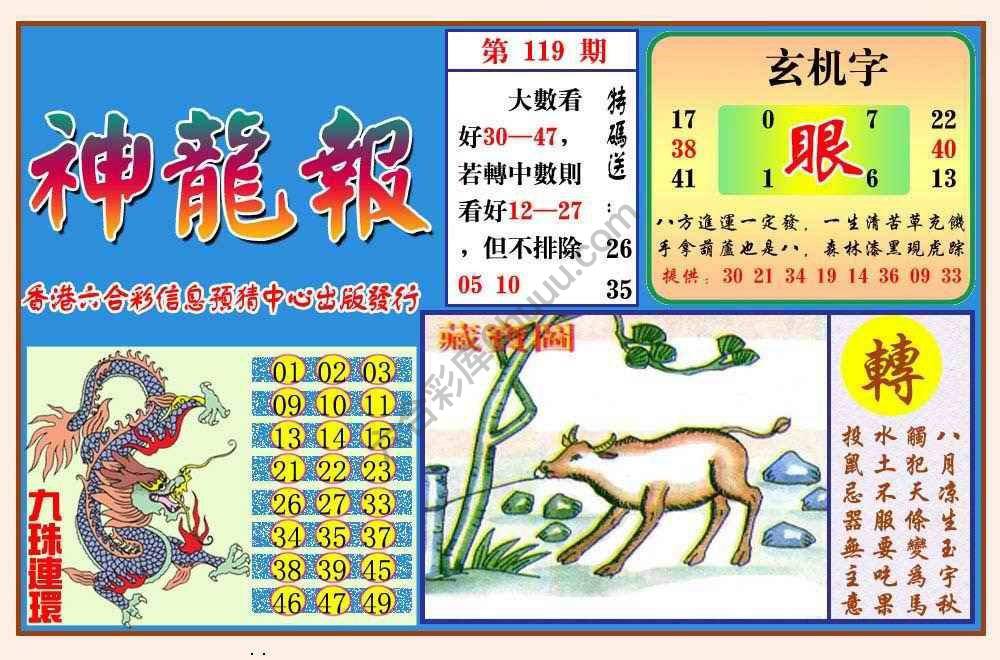 蓝月亮神龙报
