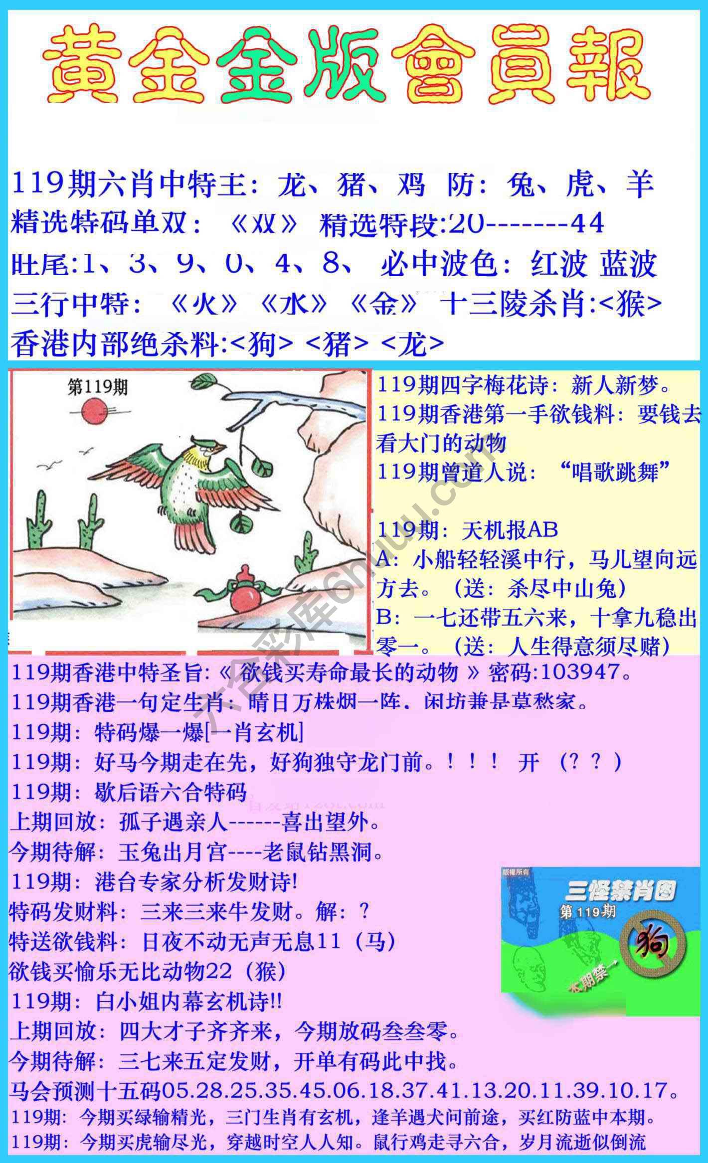 黄金金版会员报