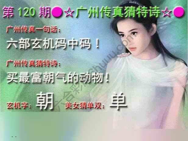 广州传真中特诗