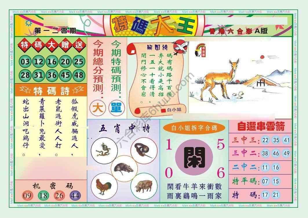 特码大王