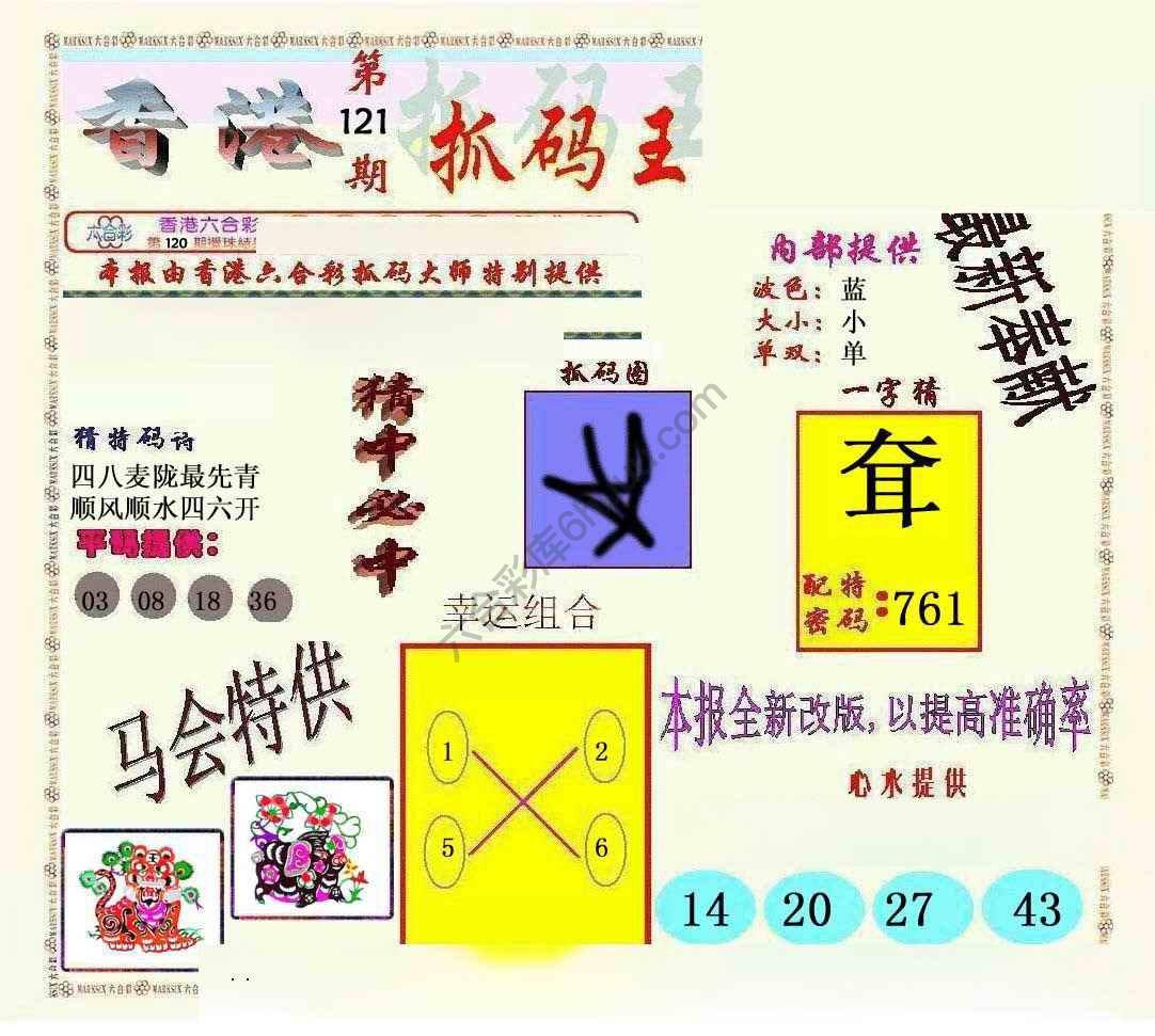 新抓码王