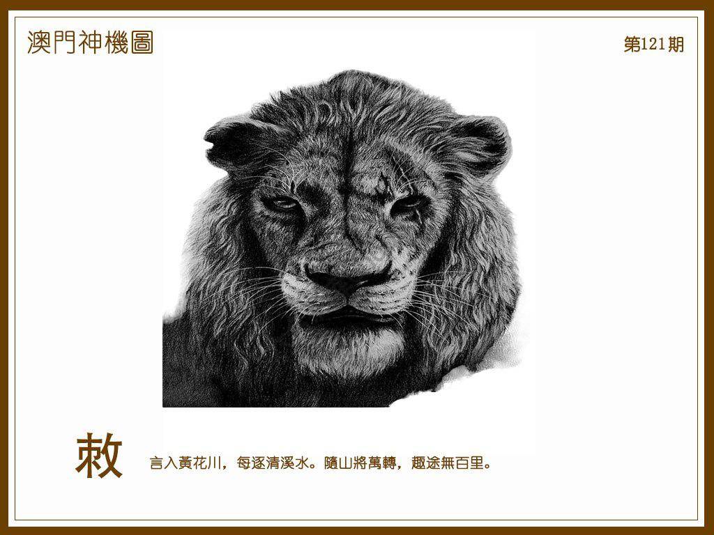 澳门神机图
