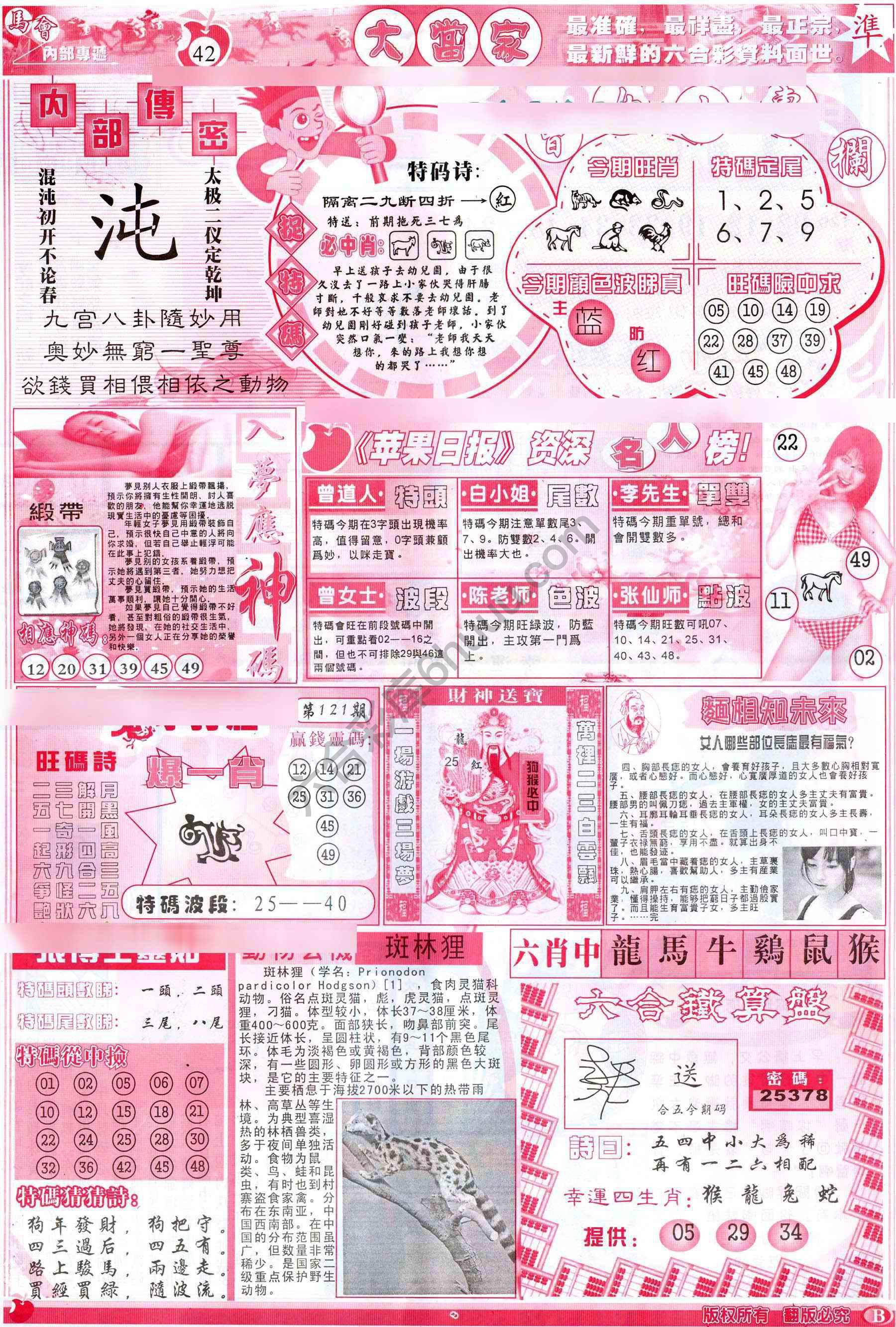 大当家