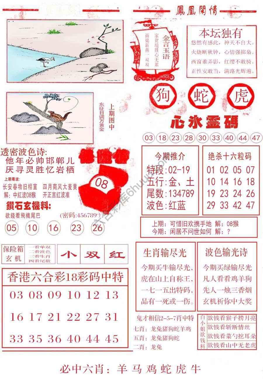凤凰闲情
