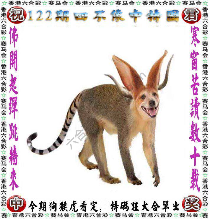 四不像中特图