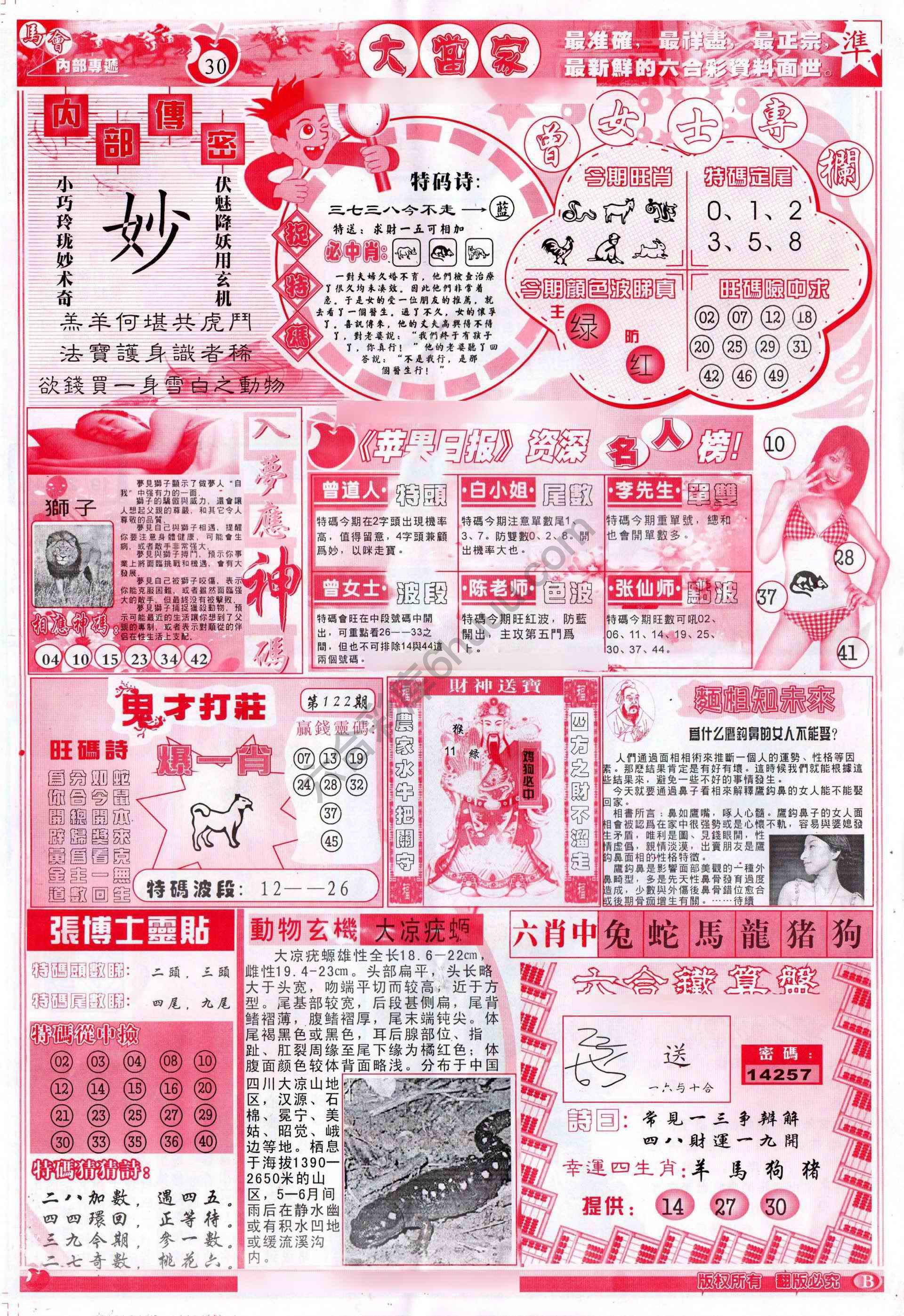 大当家