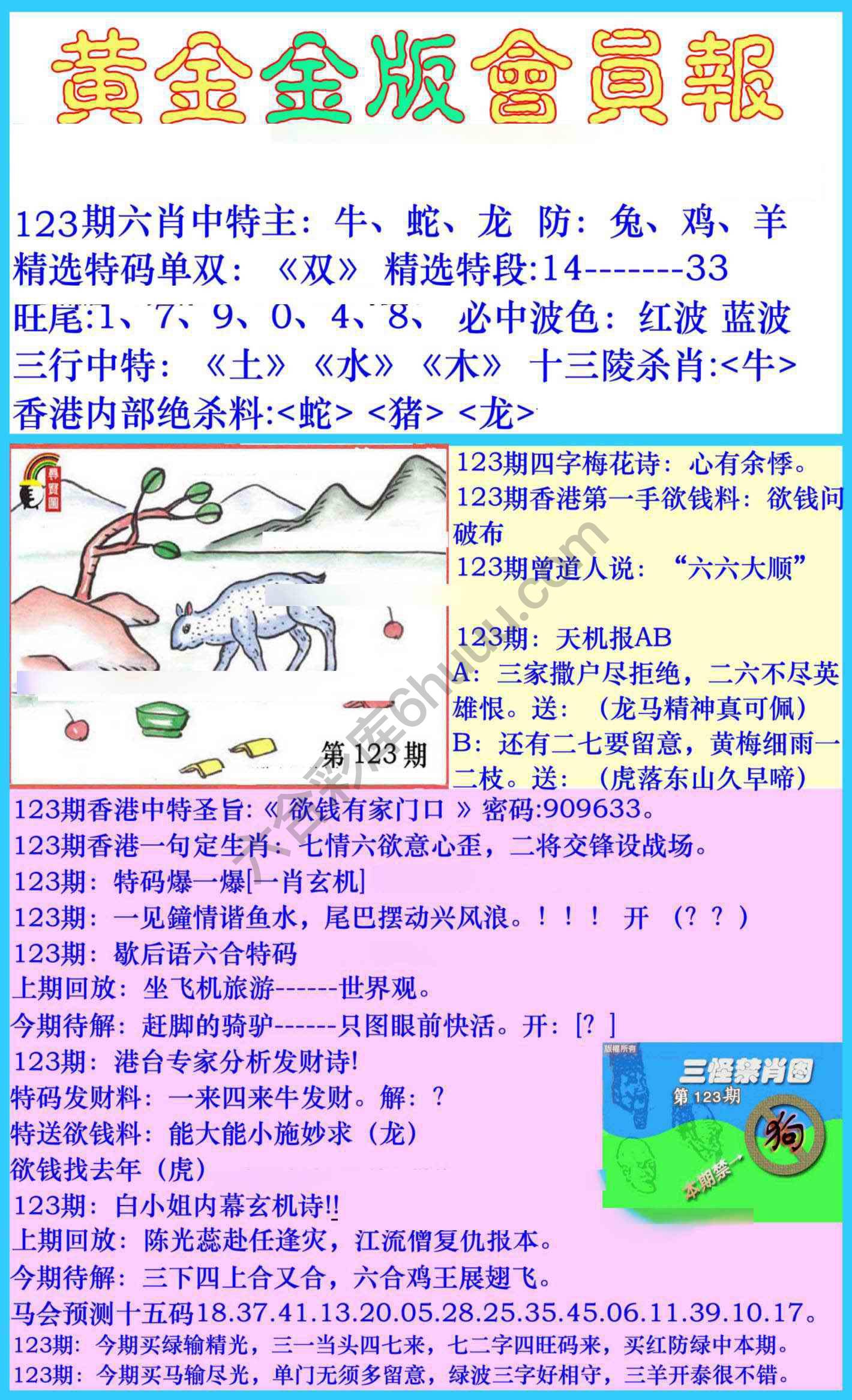 黄金金版会员报