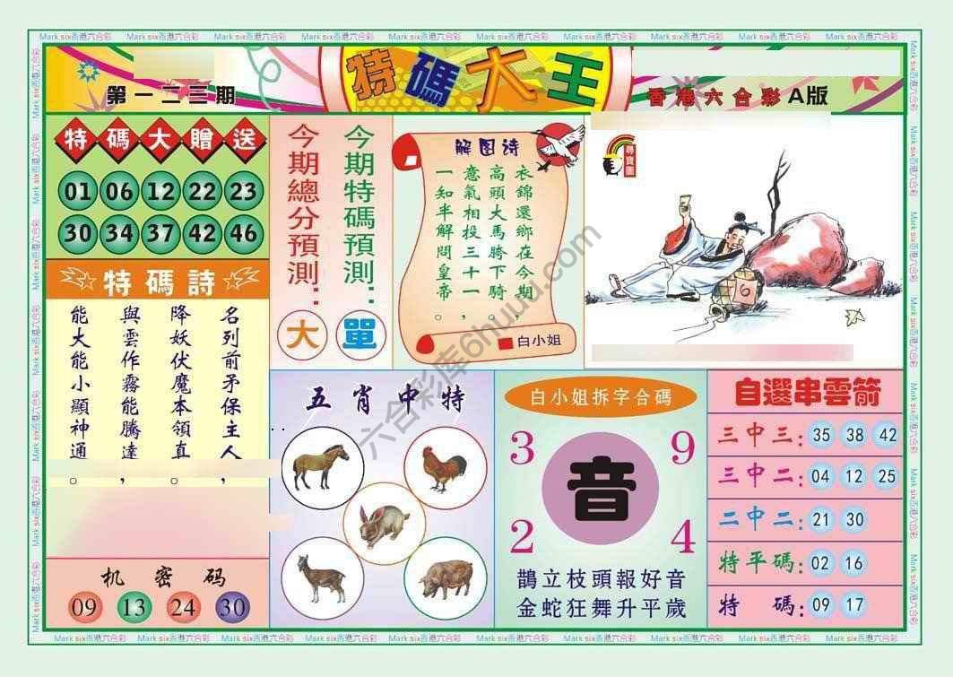 特码大王