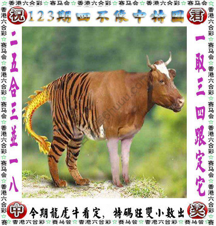 四不像中特图