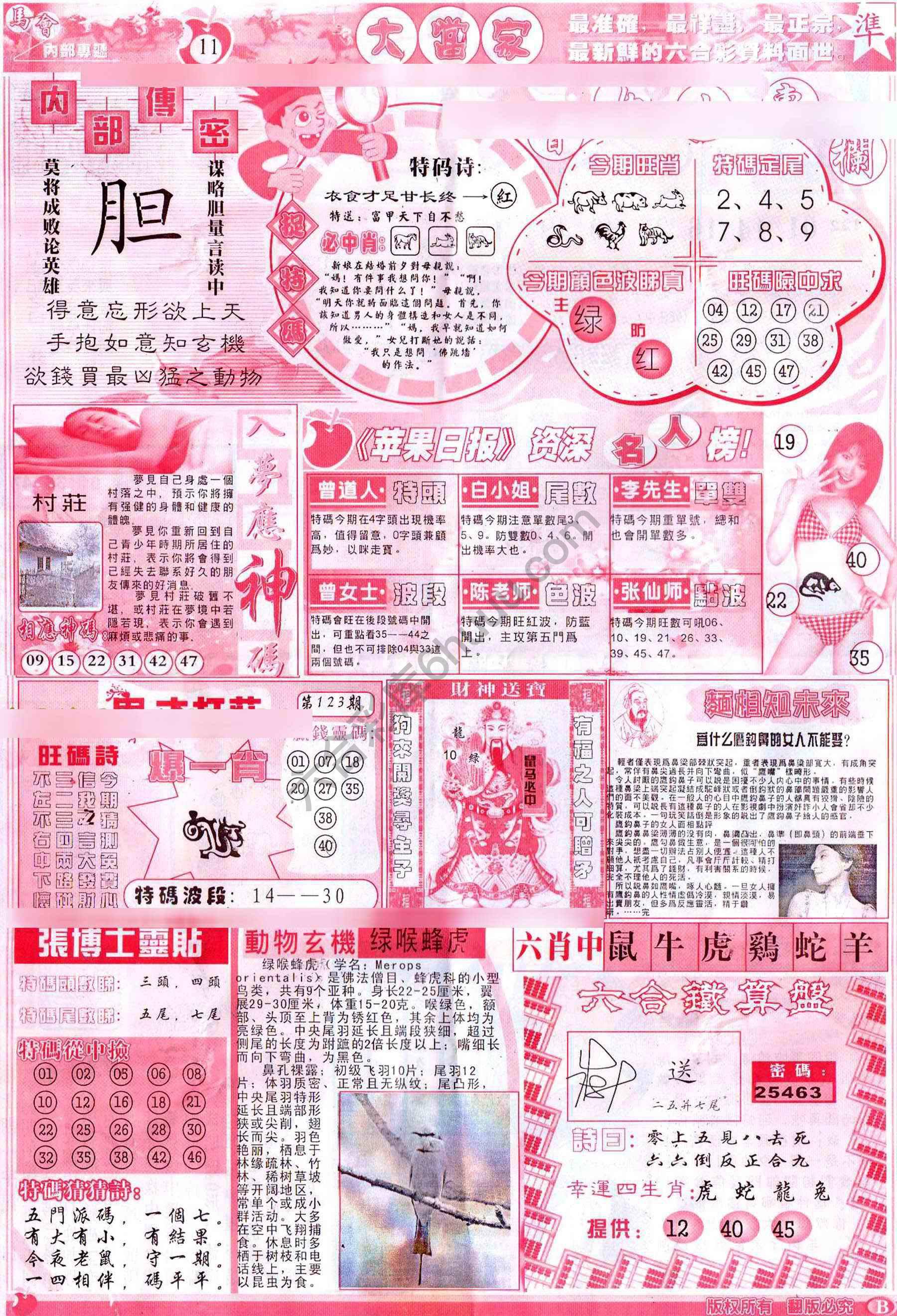 大当家