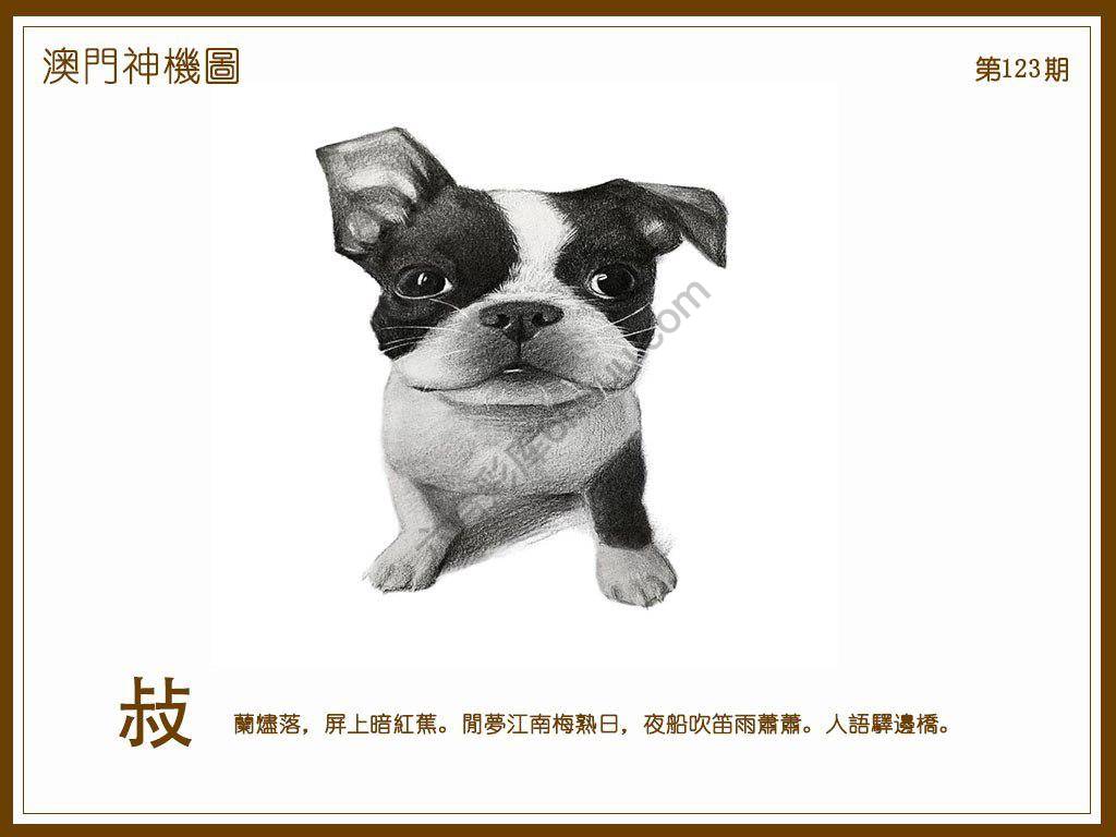 澳门神机图