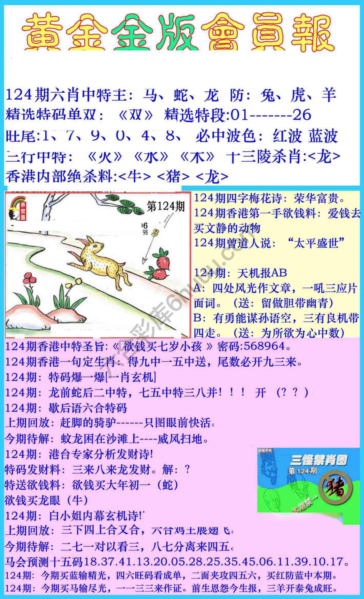 黄金金版会员报