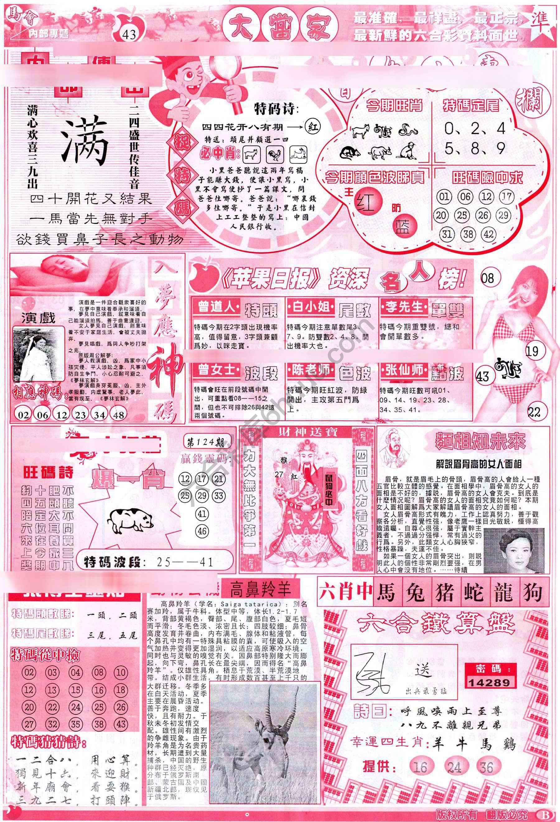 大当家