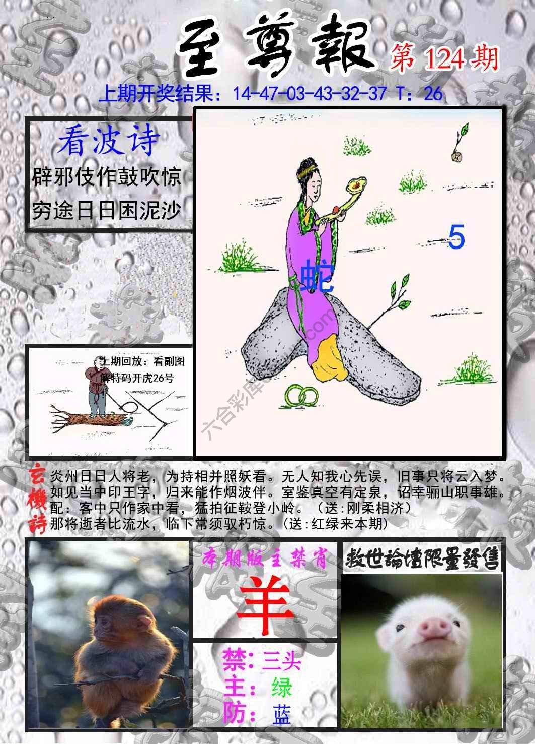 至尊报