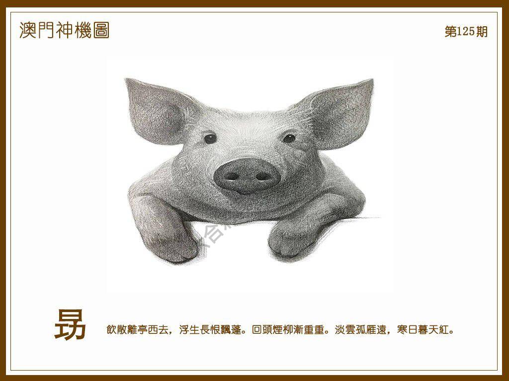 澳门神机图