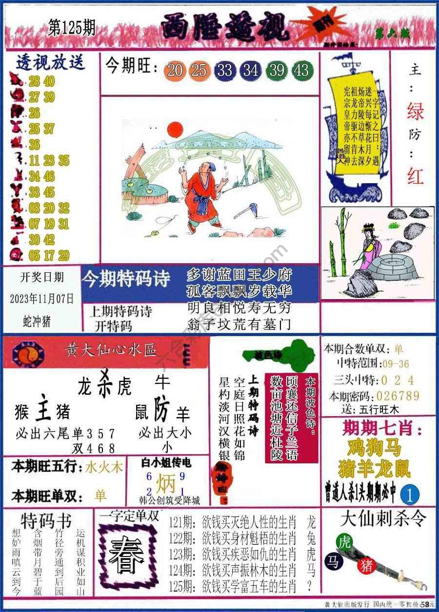 西陲透视（正版）