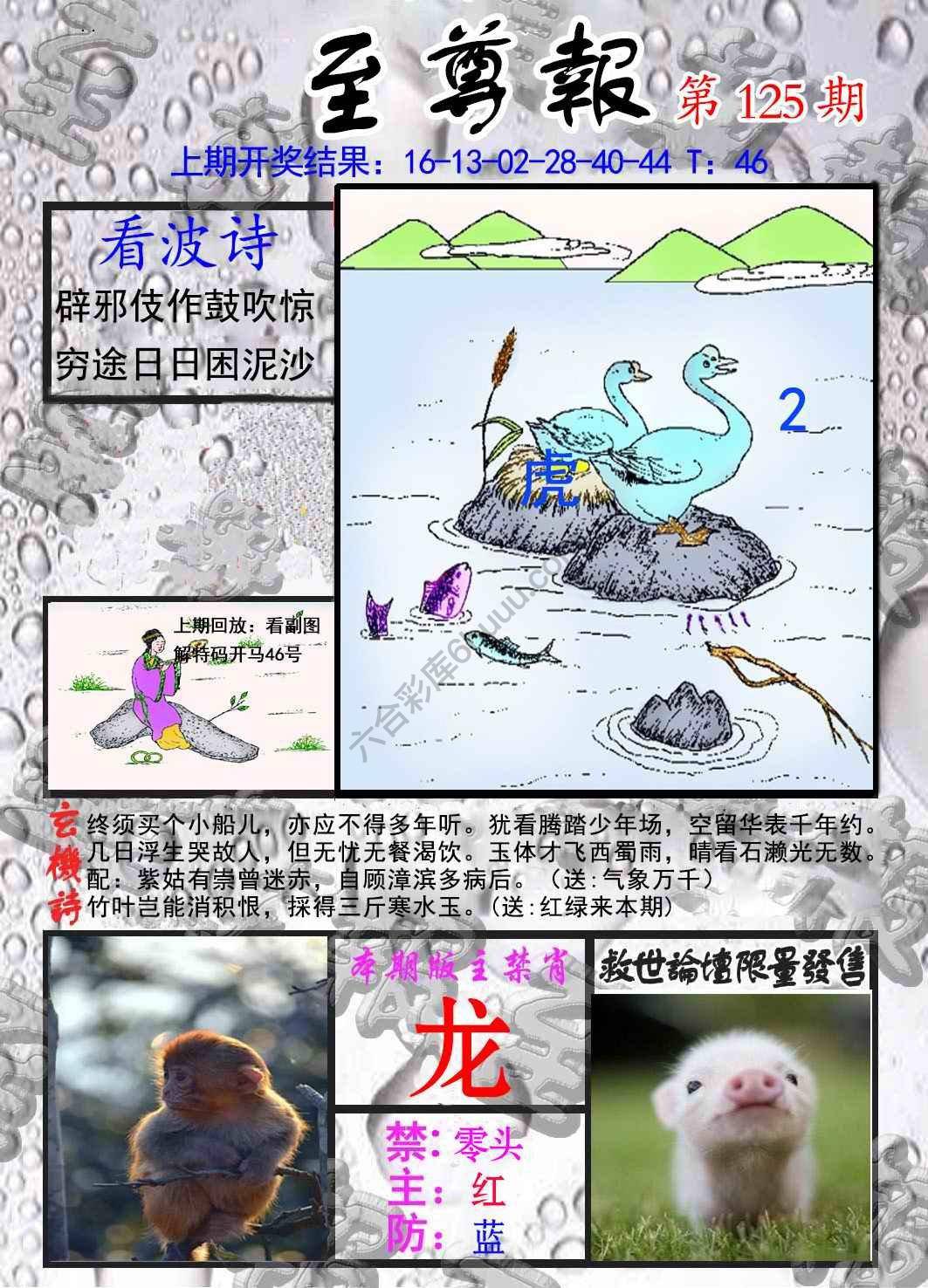 至尊报
