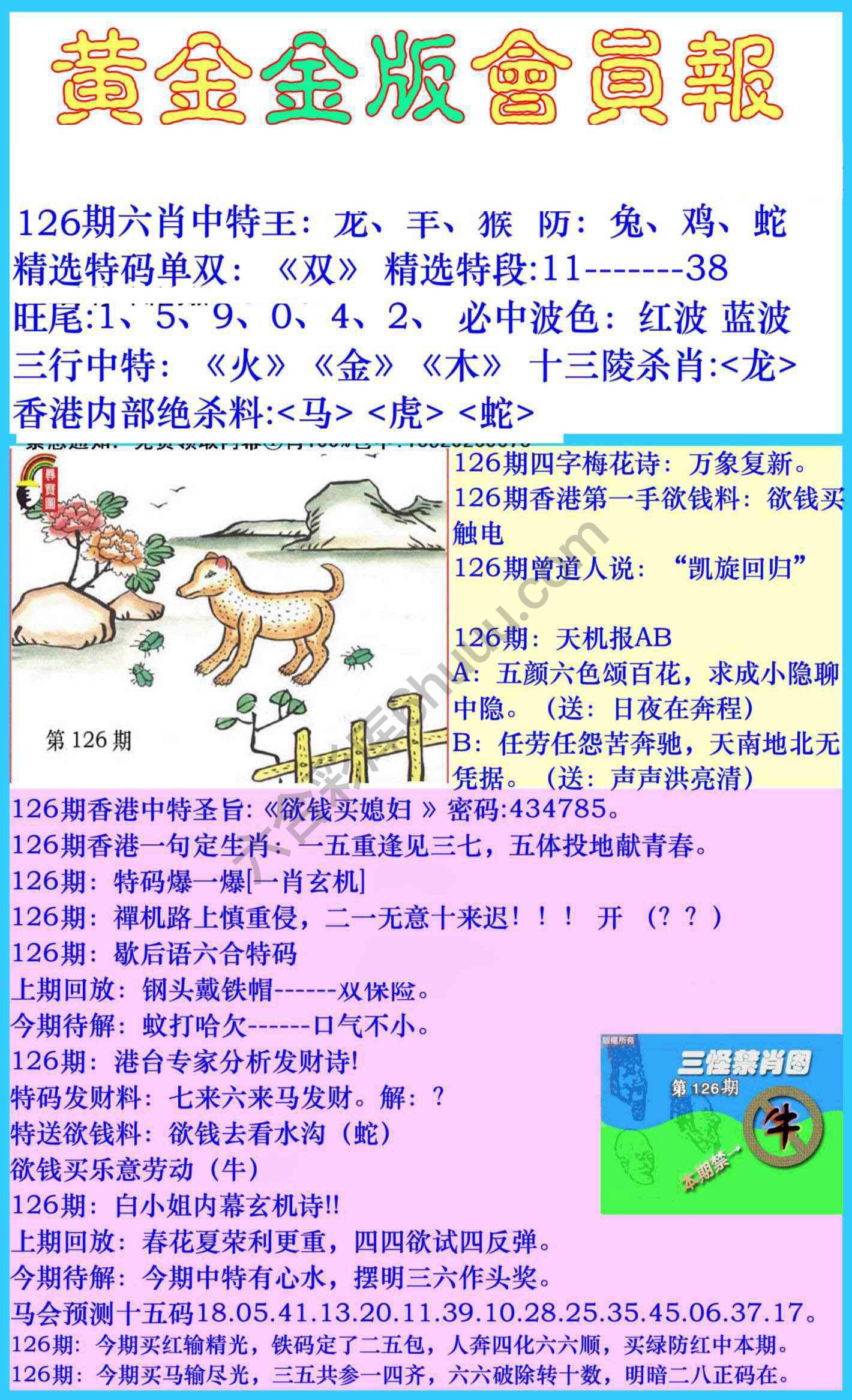 黄金金版会员报