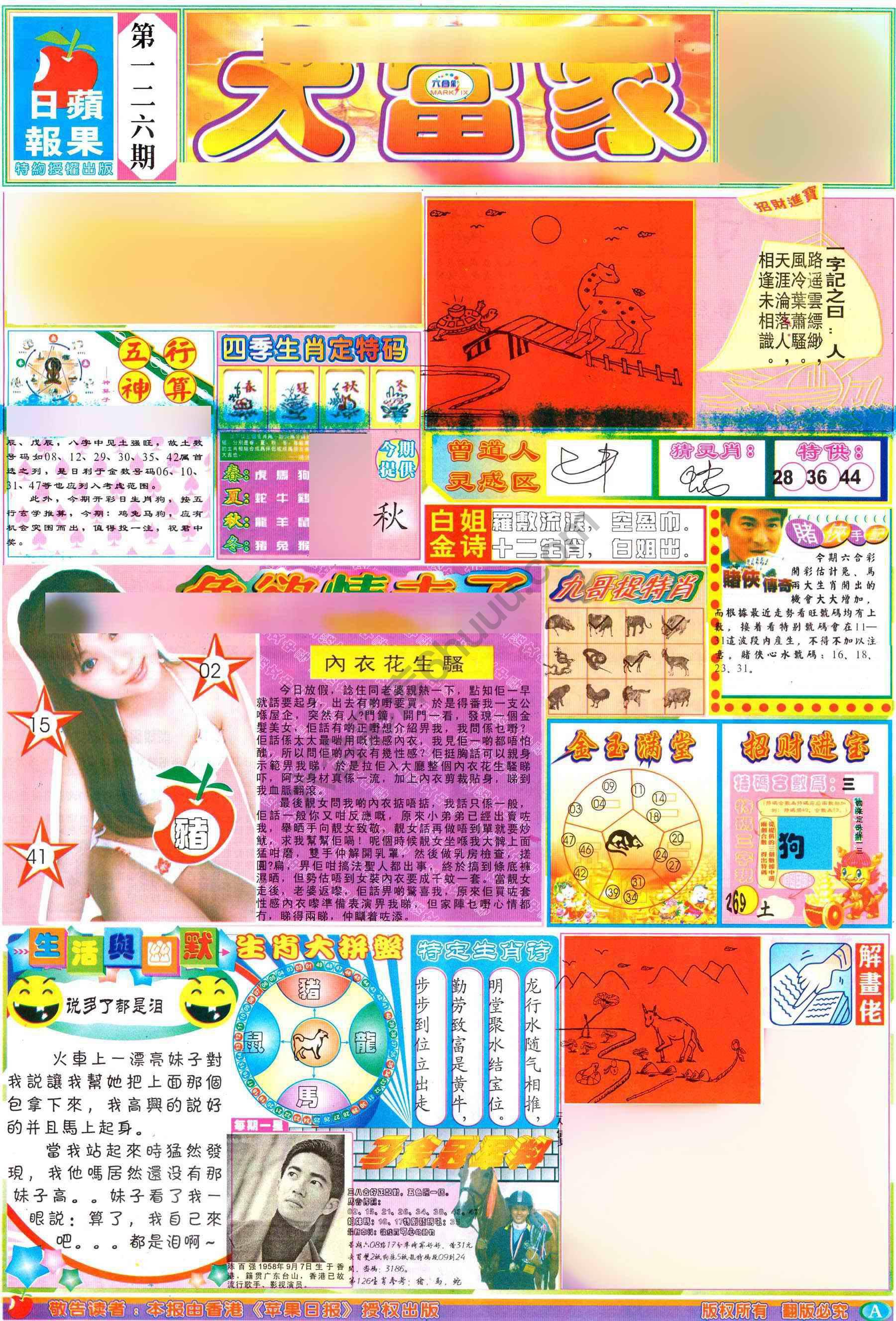 大当家