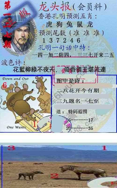 龙头报