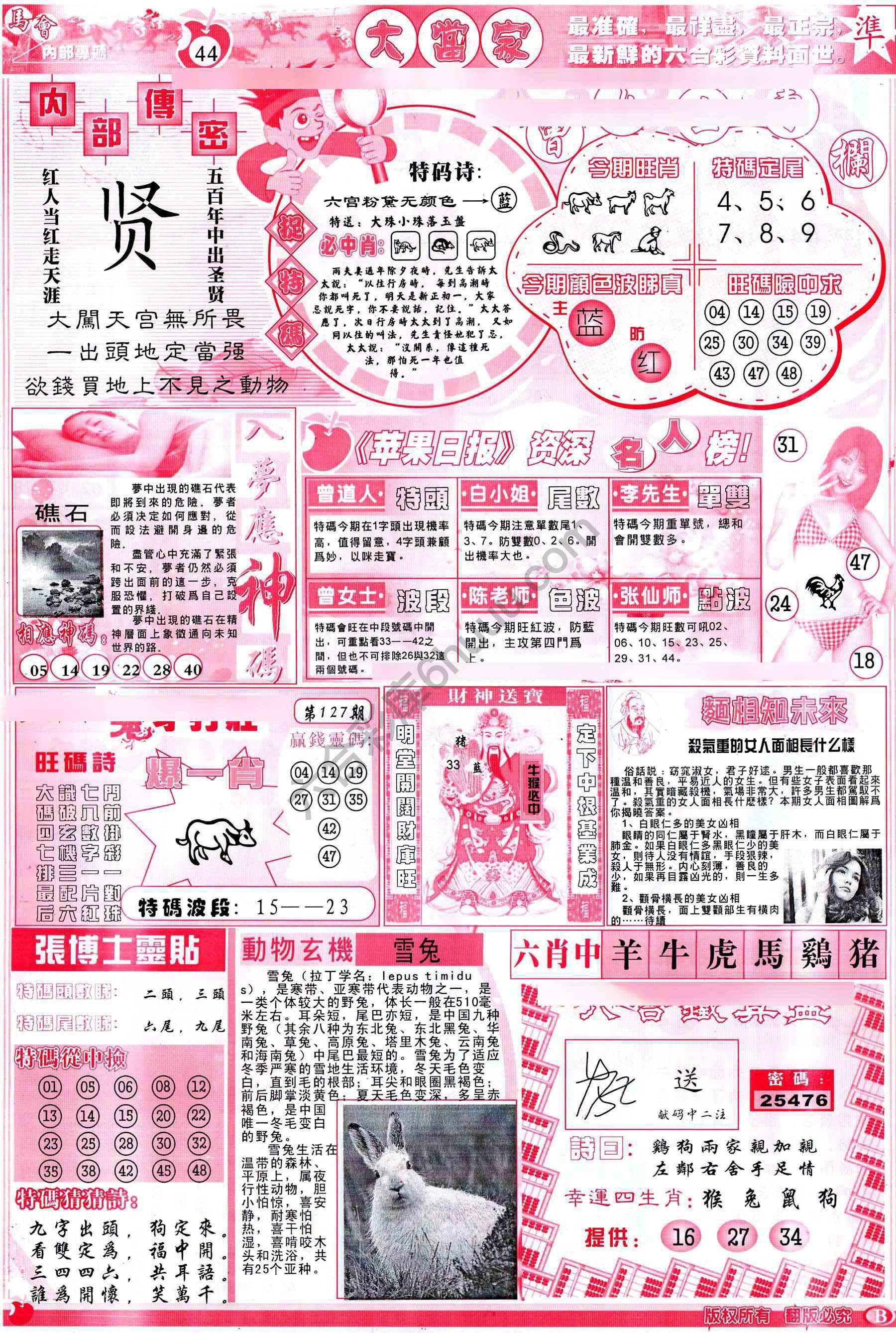 大当家