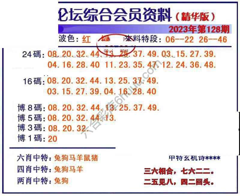 综合会员资料