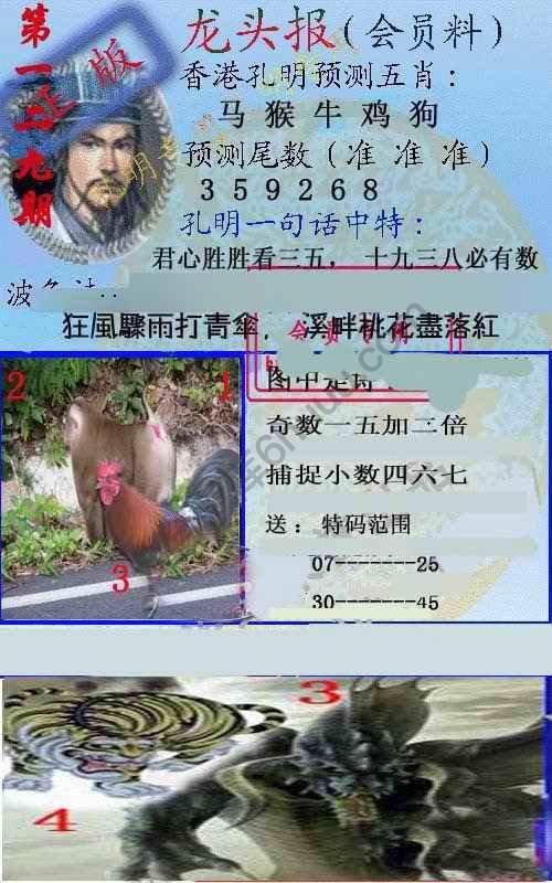 龙头报