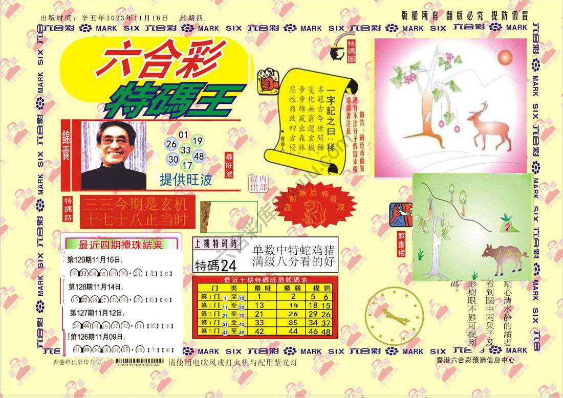 特码王