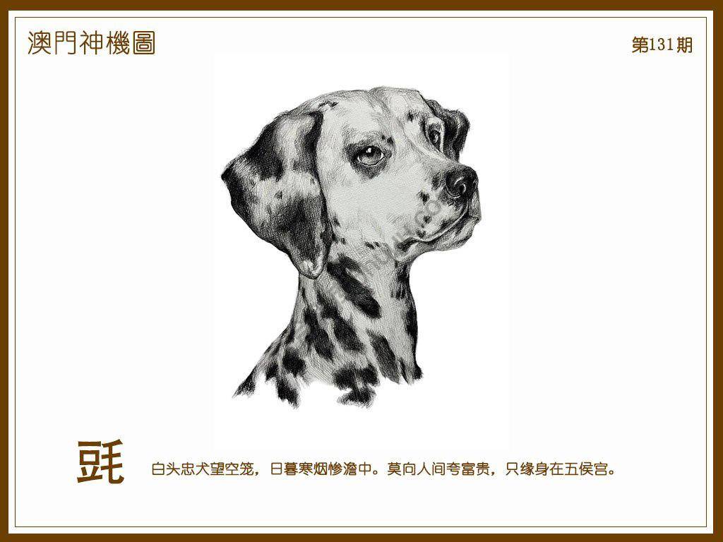 澳门神机图