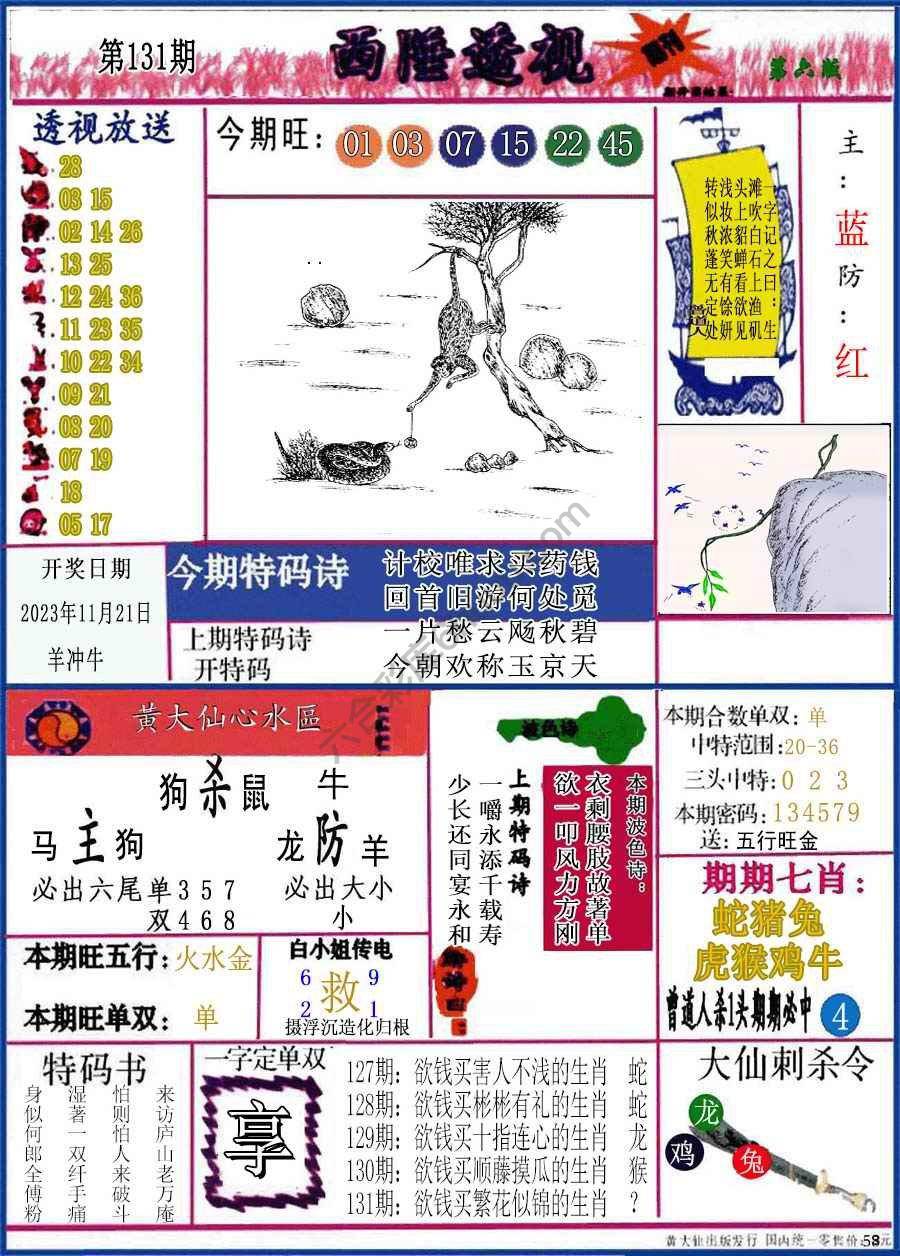 西陲透视（正版）