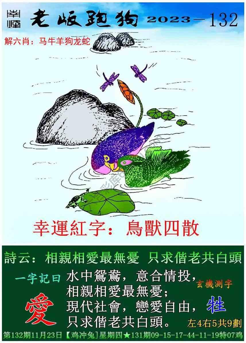 老版跑狗图