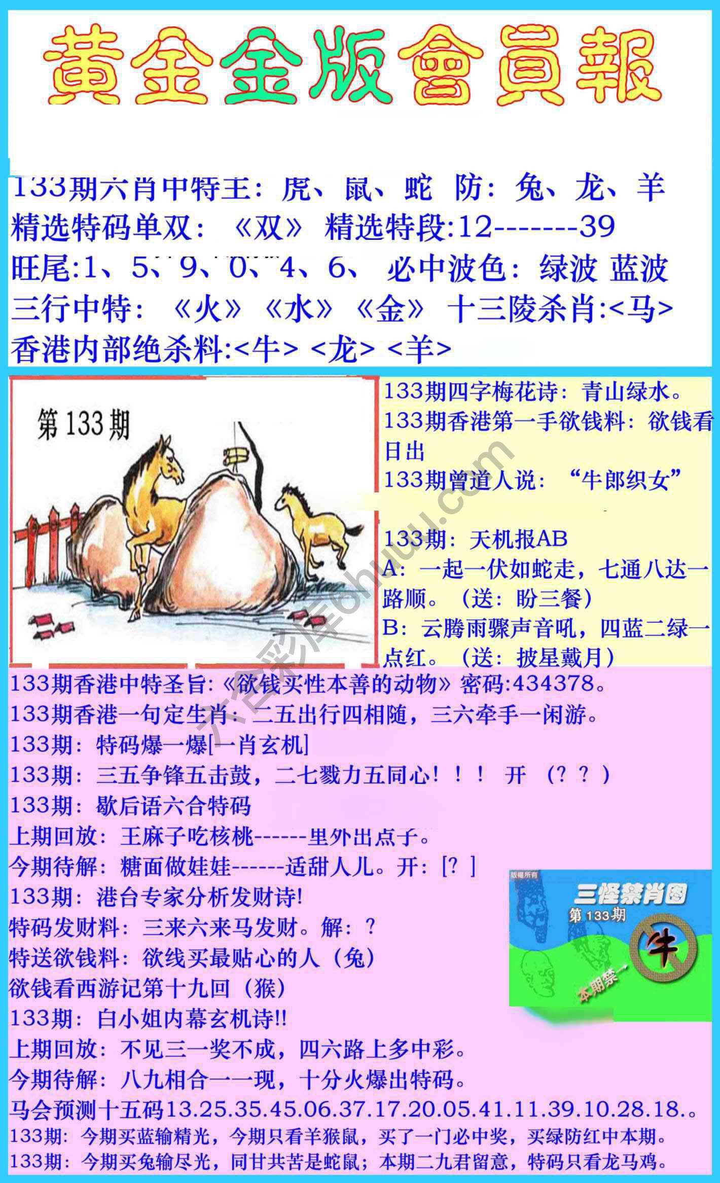 黄金金版会员报