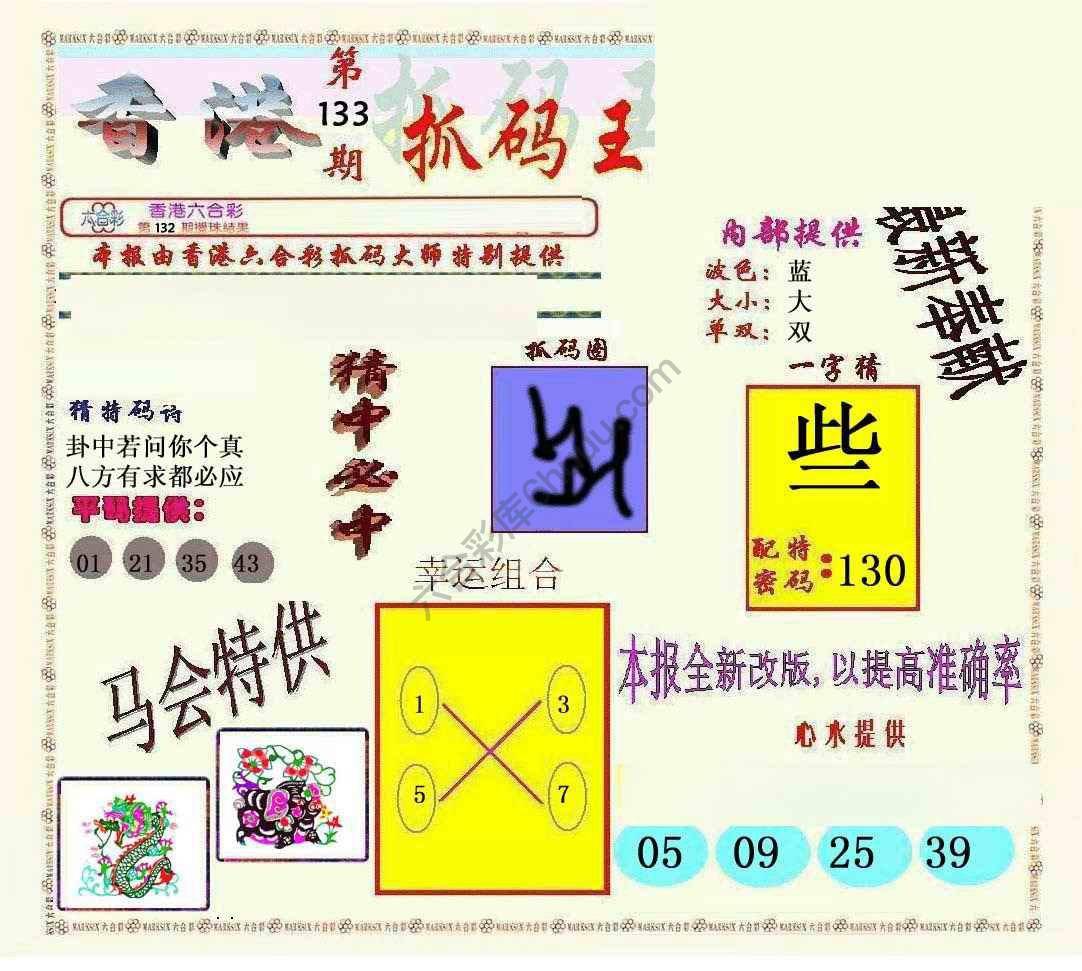 新抓码王