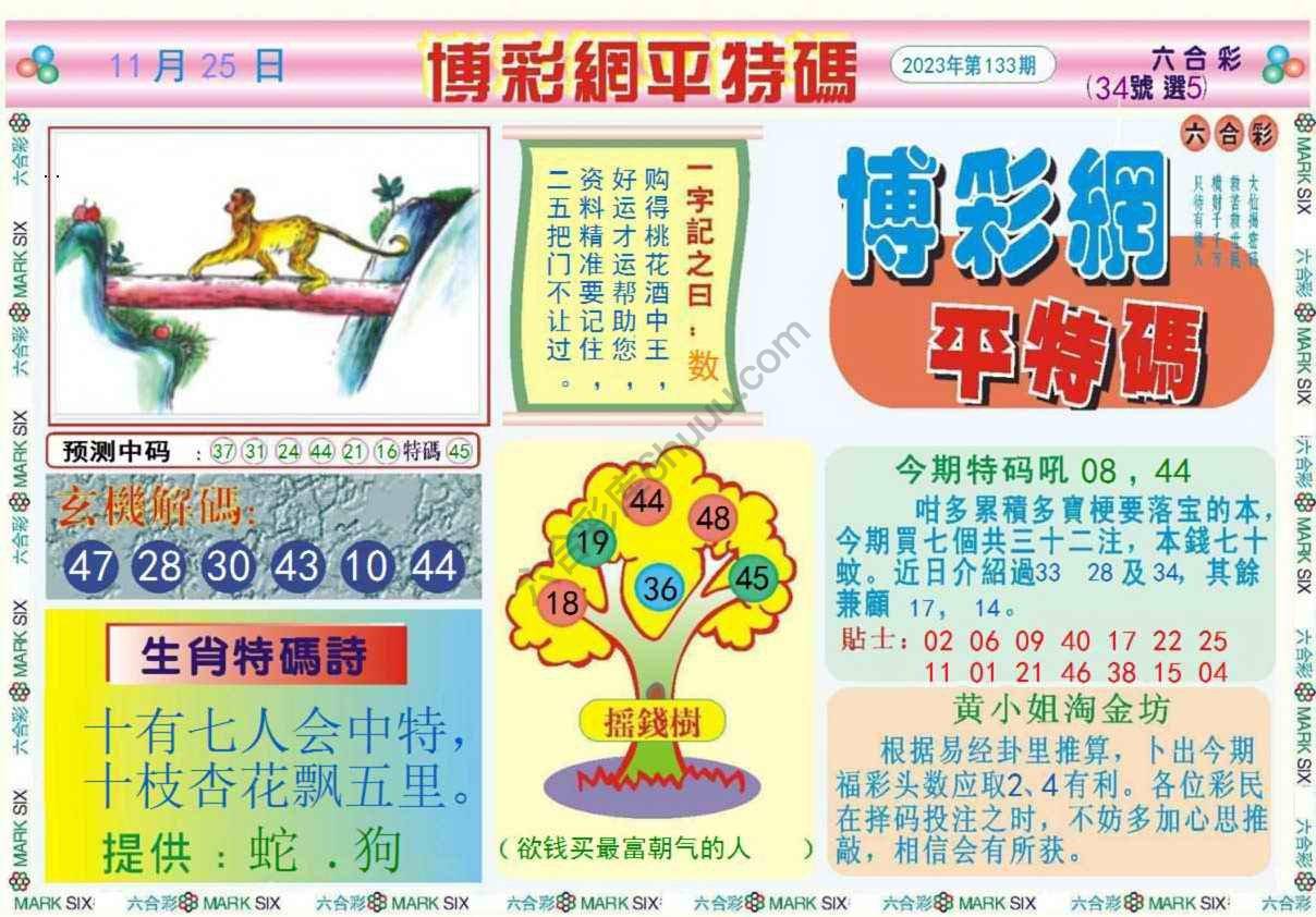 博彩网平特码