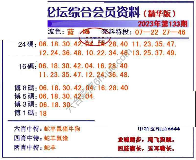 综合会员资料