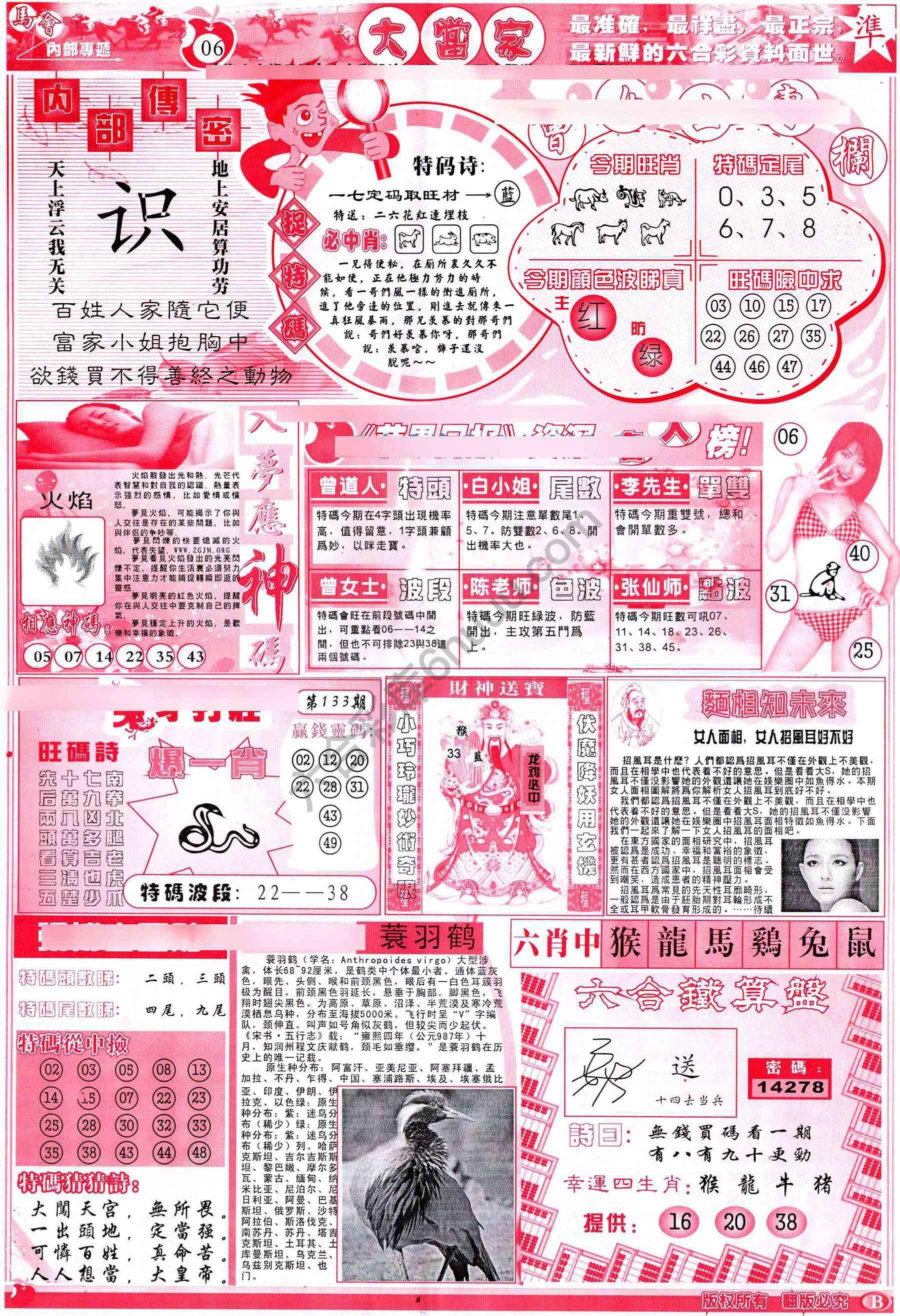 大当家