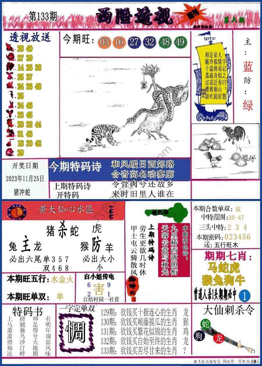 西陲透视（正版）