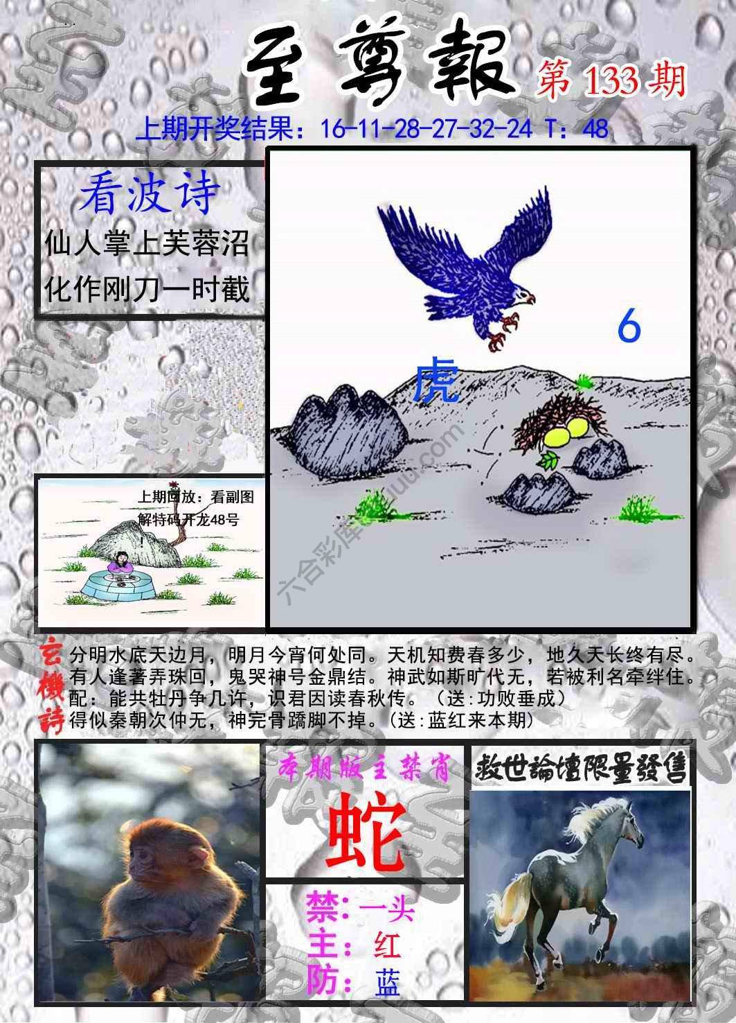 至尊报