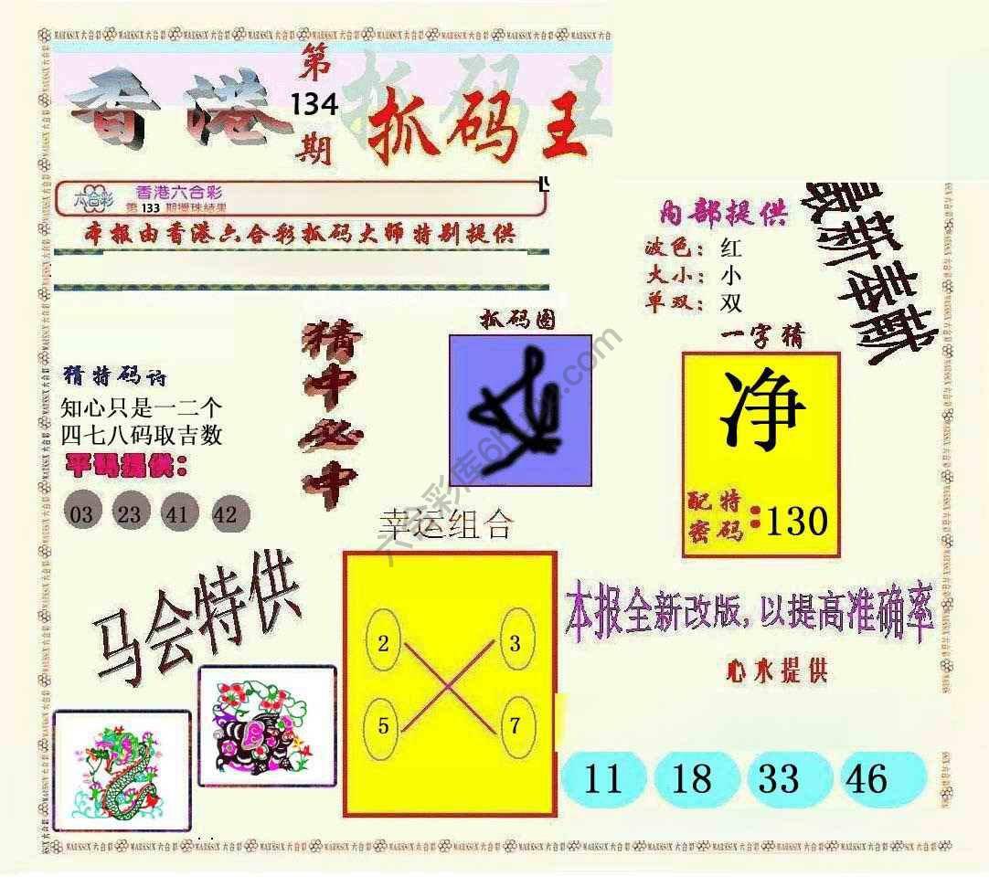 新抓码王