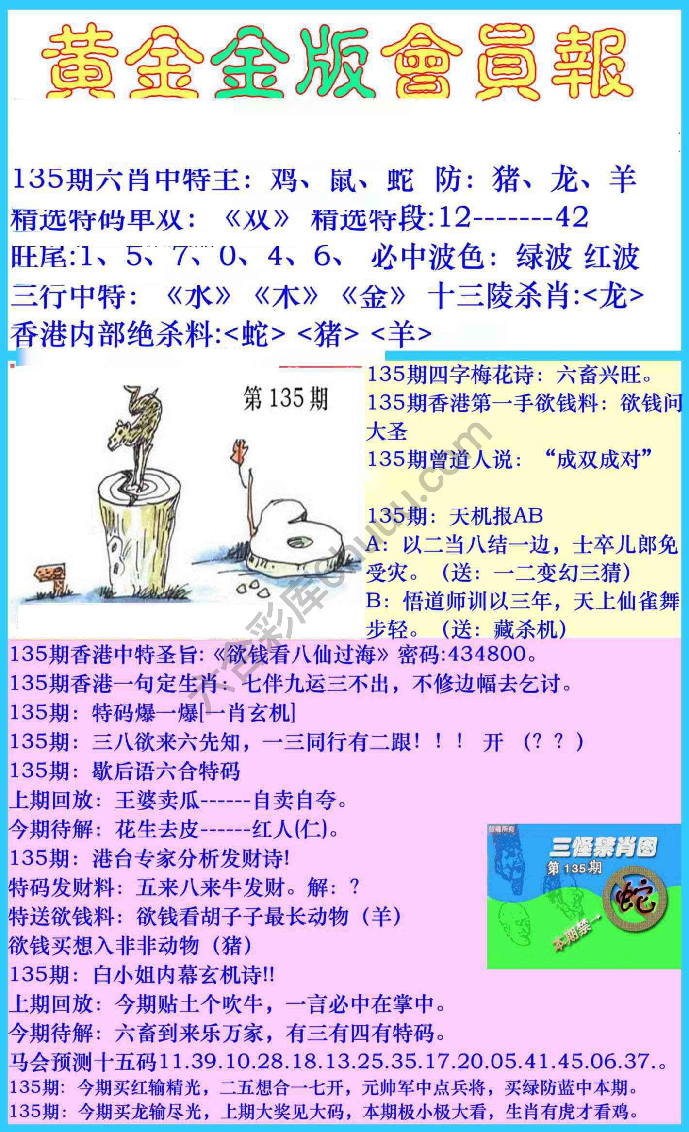 黄金金版会员报