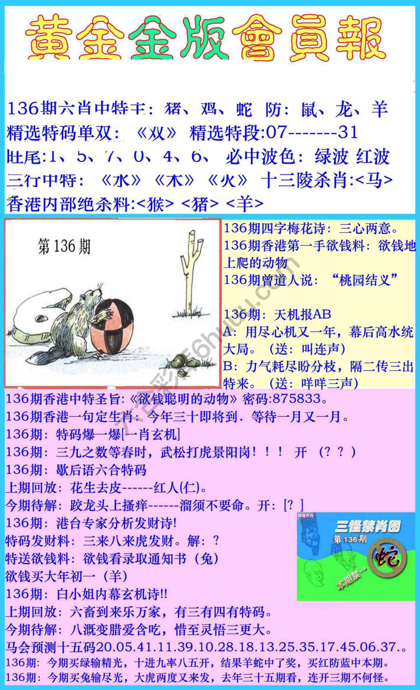 黄金金版会员报