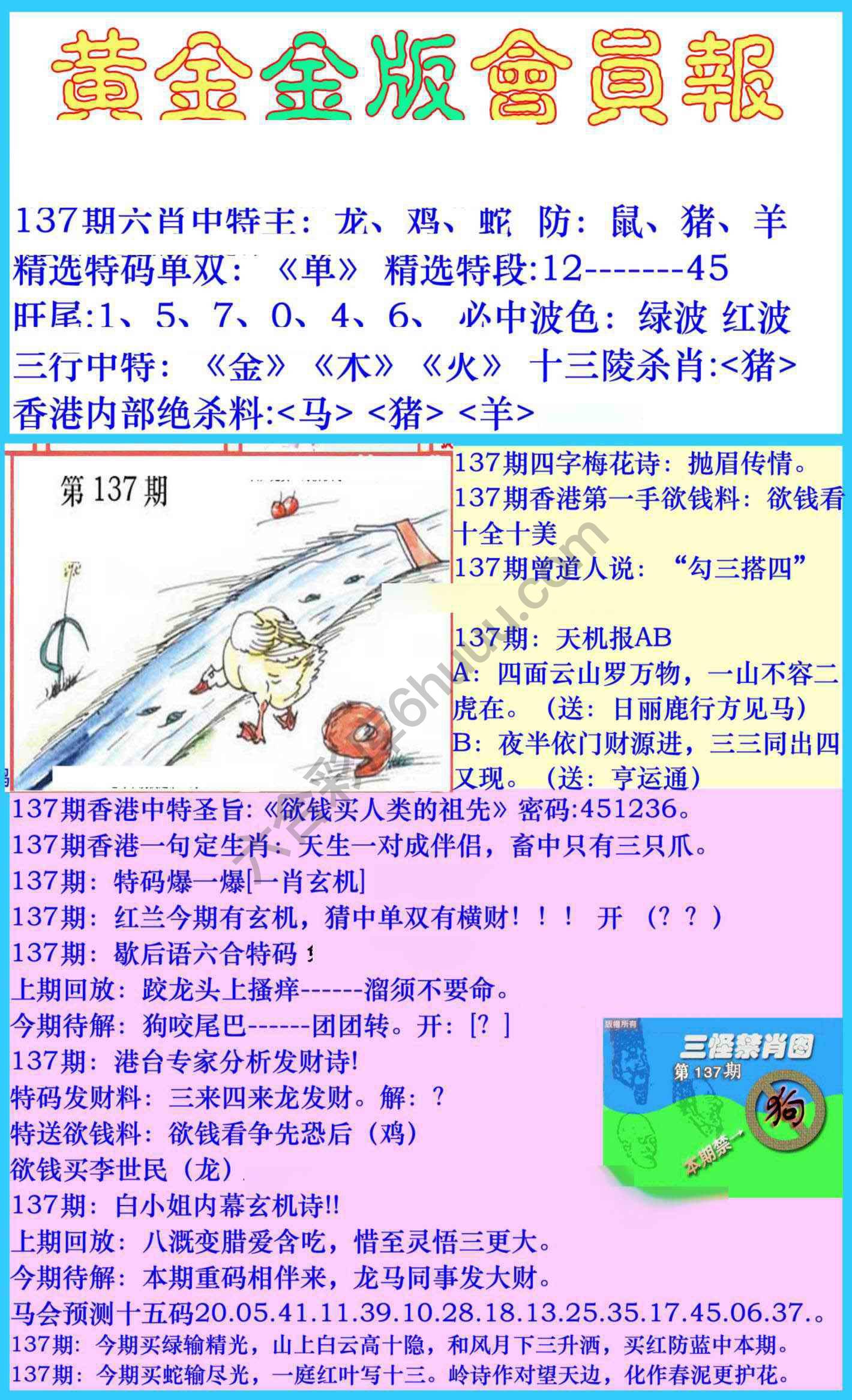 黄金金版会员报